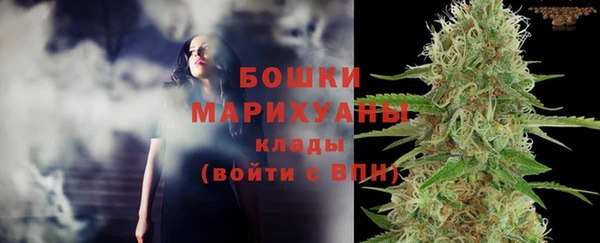 Альфа ПВП Няндома