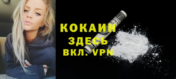 Альфа ПВП Няндома