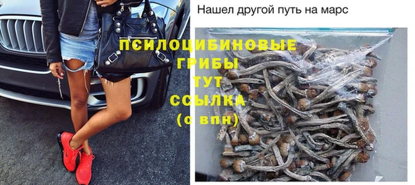МДПВ Осташков