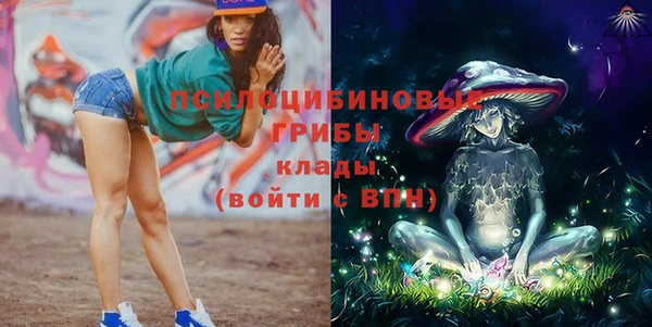МДПВ Осташков