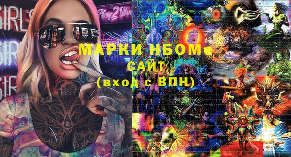 Альфа ПВП Няндома