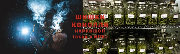 Альфа ПВП Няндома