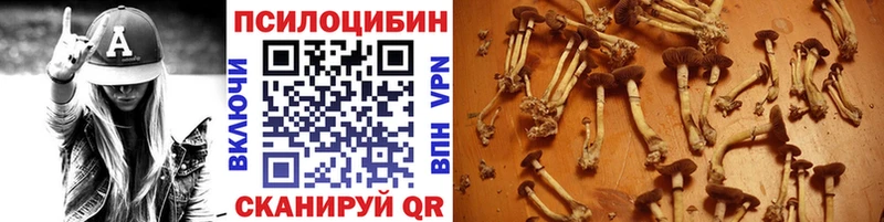 Псилоцибиновые грибы Psilocybine cubensis  Шарыпово 