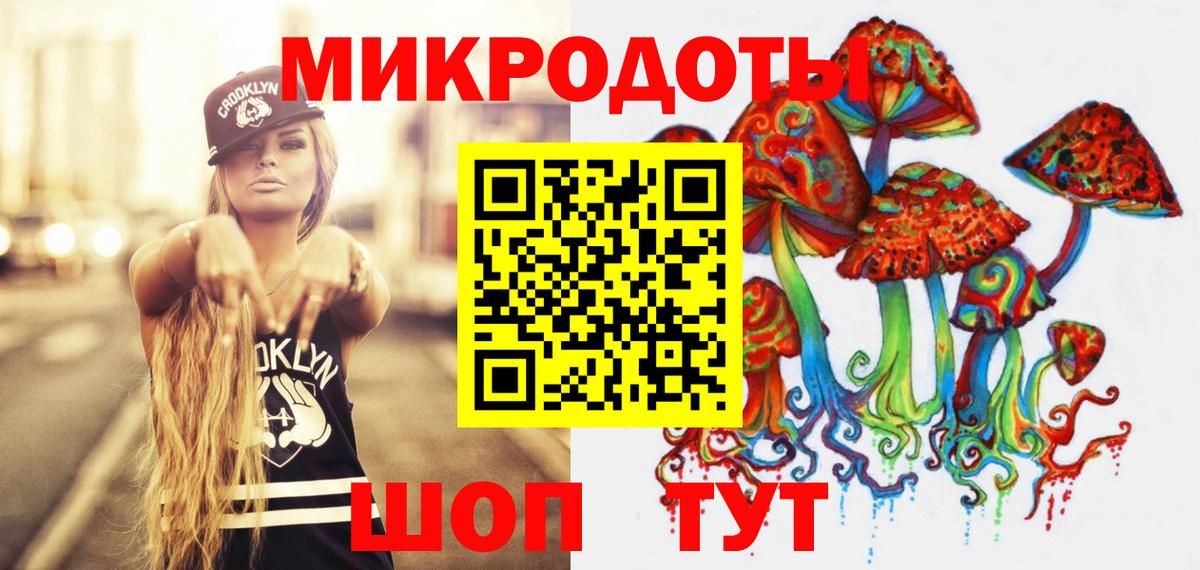 Шарыпово  Галлюциногенные грибы Psilocybine cubensis  Вход с VPN 