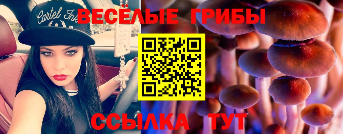 Галлюциногенные грибы GOLDEN TEACHER Шарыпово